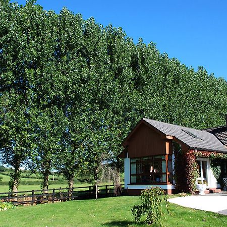 The Bungalow Farmhouse Clomantagh Eksteriør billede