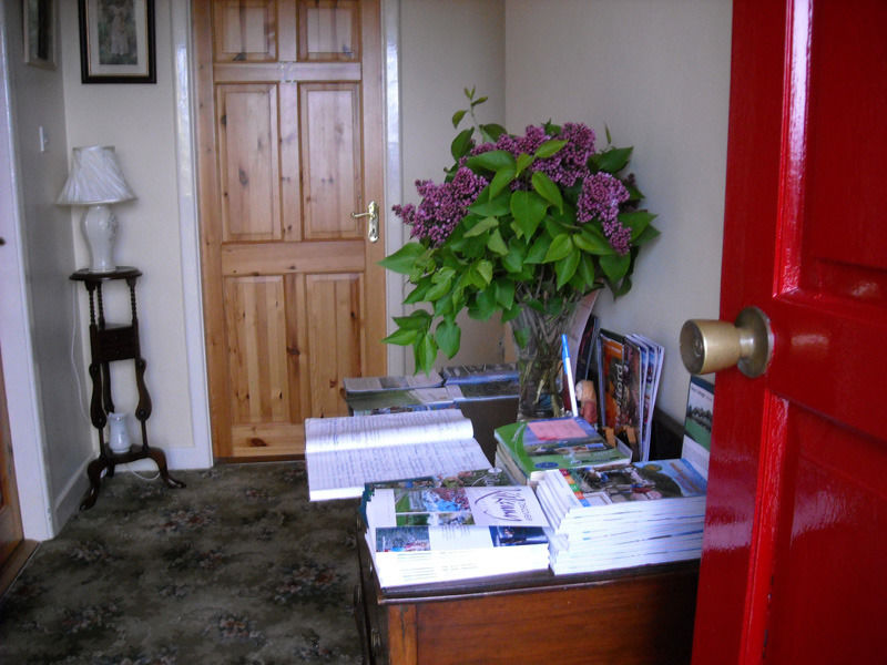 The Bungalow Farmhouse Clomantagh Eksteriør billede
