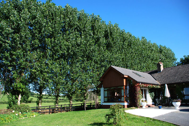 The Bungalow Farmhouse Clomantagh Eksteriør billede